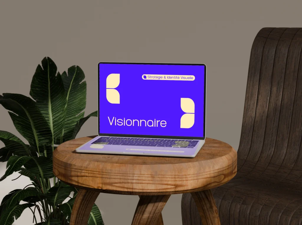 visionnaire maj